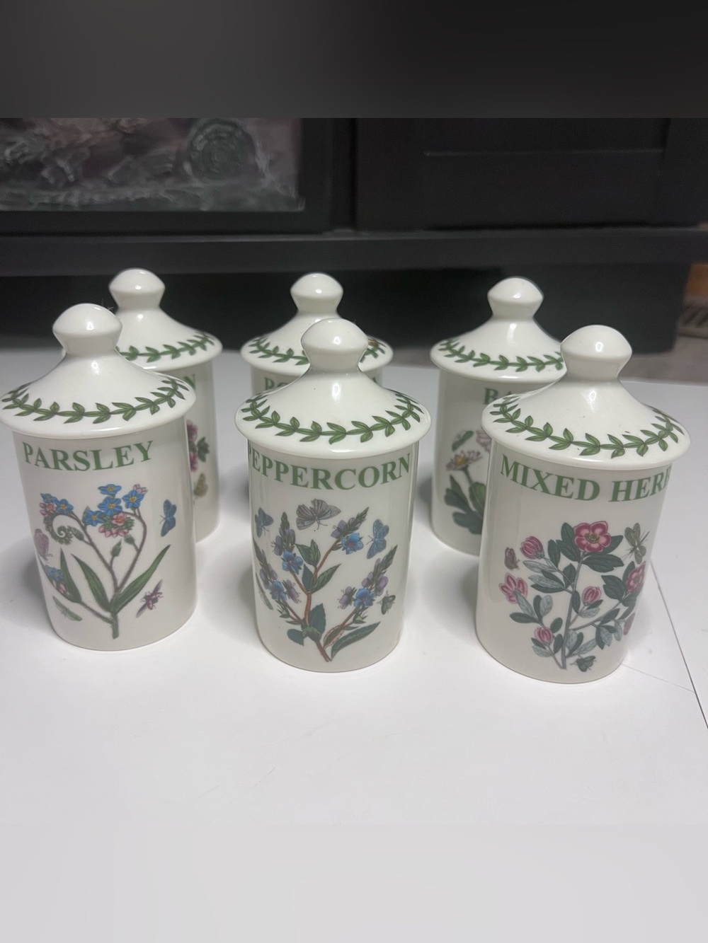 Portmeirion Botanical Herb Porcelain Spice Jars in White and Green